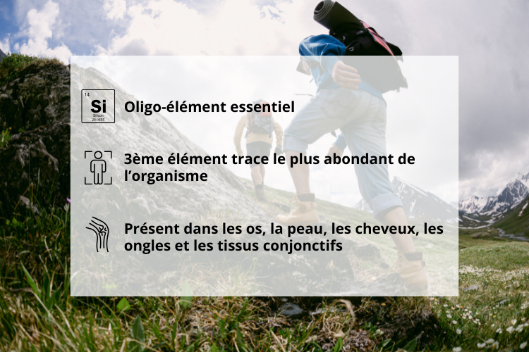Bienfaits du silice organique